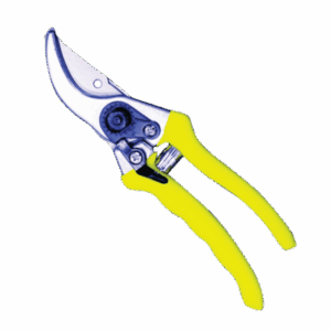 MTS8763 – MTS SECATURE PRUNING MTS BY-PASS