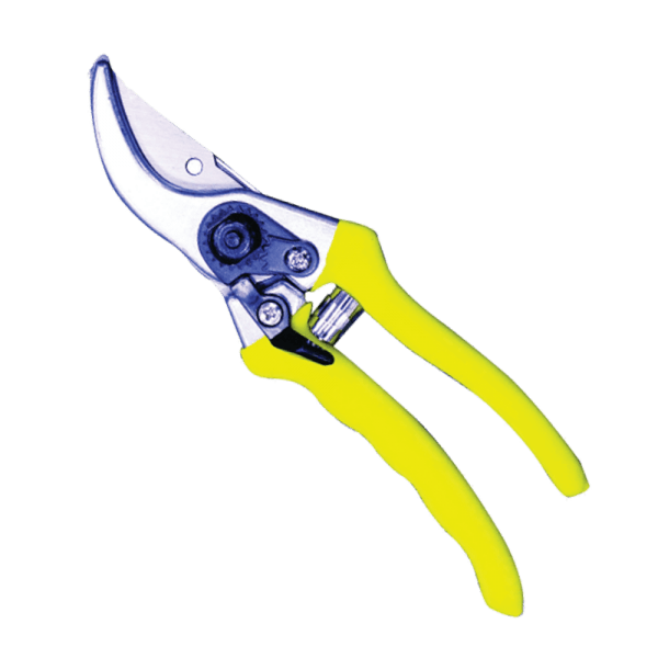 MTS8763 – MTS SECATURE PRUNING MTS BY-PASS